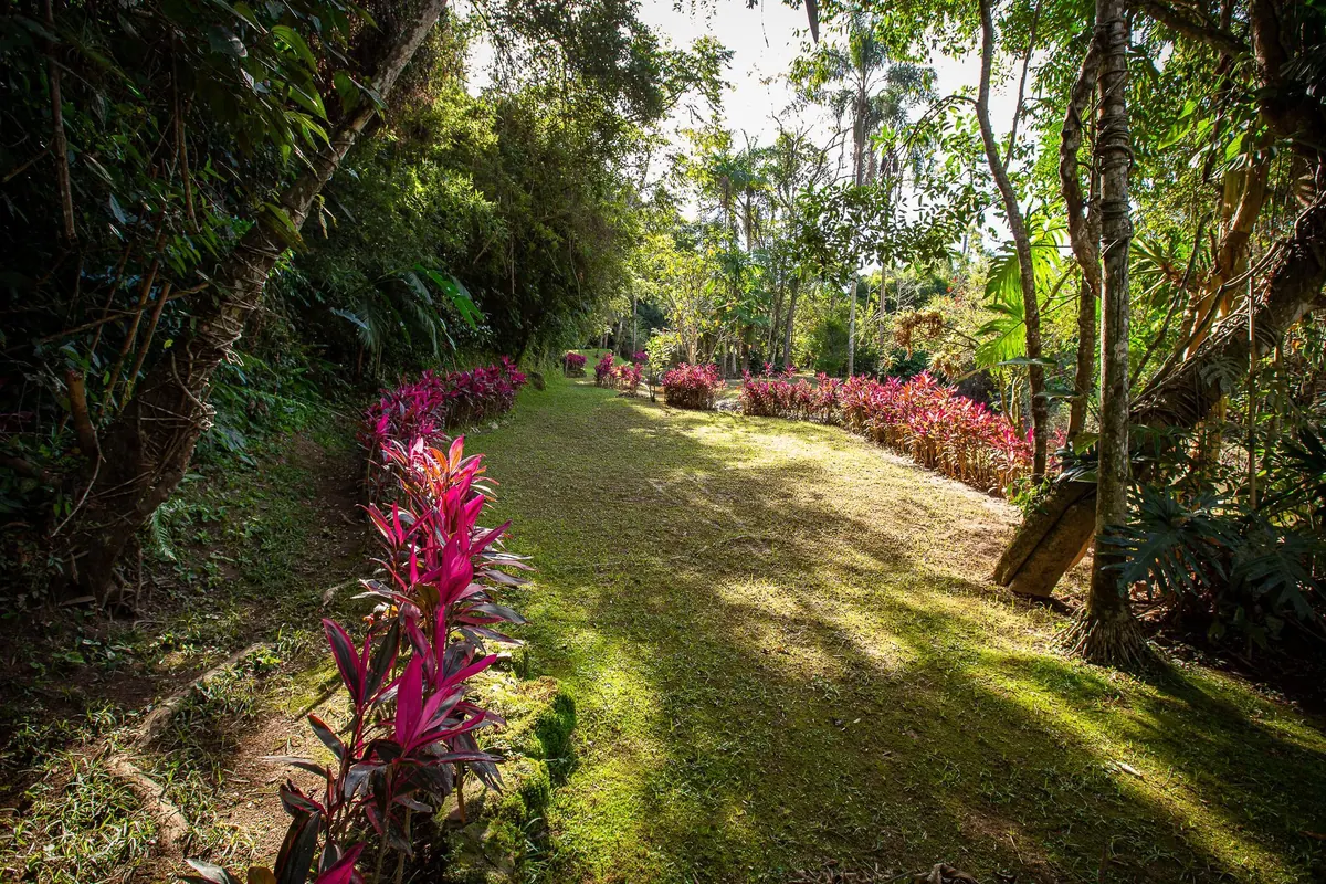 Caminho entre a mata e canteiros de flores vermelhas